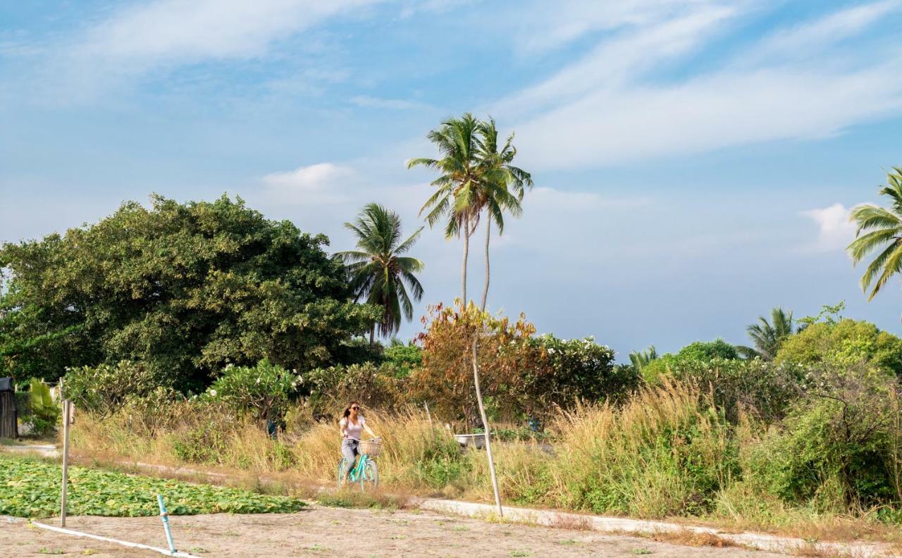 Olive Goidhoo Exterior foto